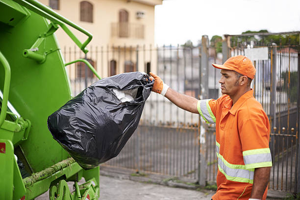 Yard Cleanup Services in Gumlog, GA